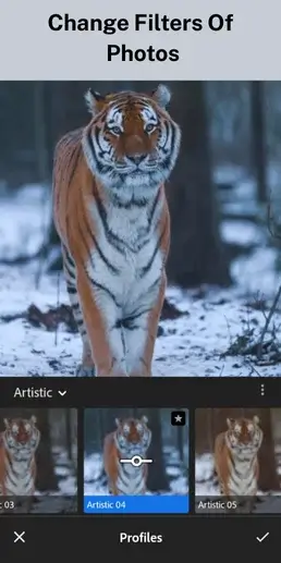 change filter of photo 1